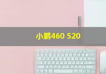 小鹏460 520